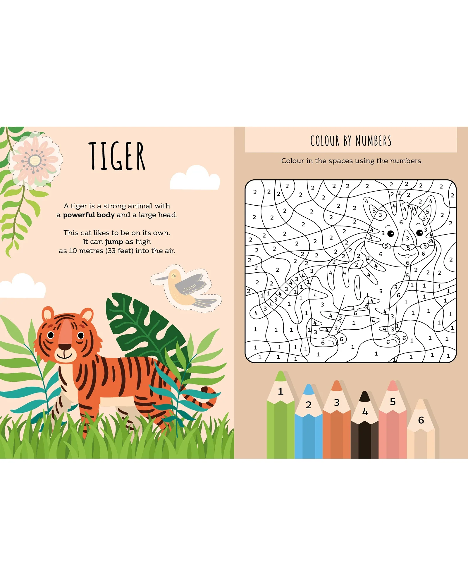 Sassi Sticker and Activity Book The Jungle - Image 2