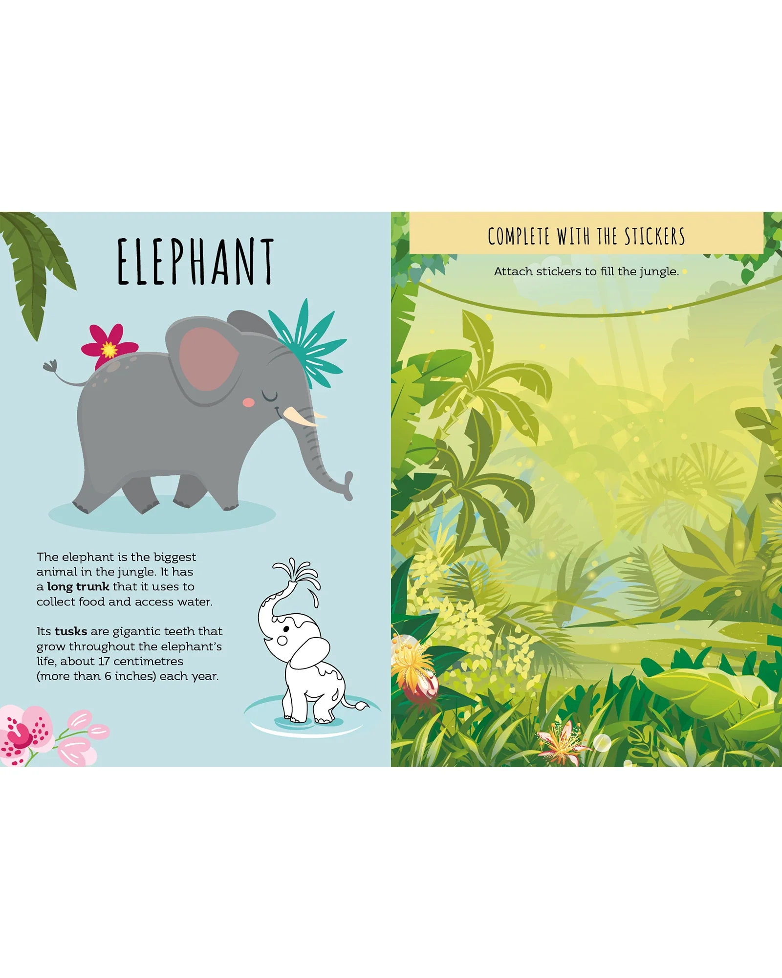 Sassi Sticker and Activity Book The Jungle - Image 3