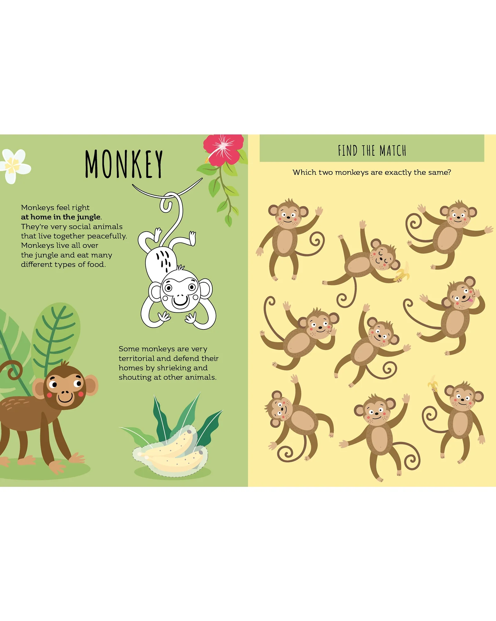 Sassi Sticker and Activity Book The Jungle - Image 4