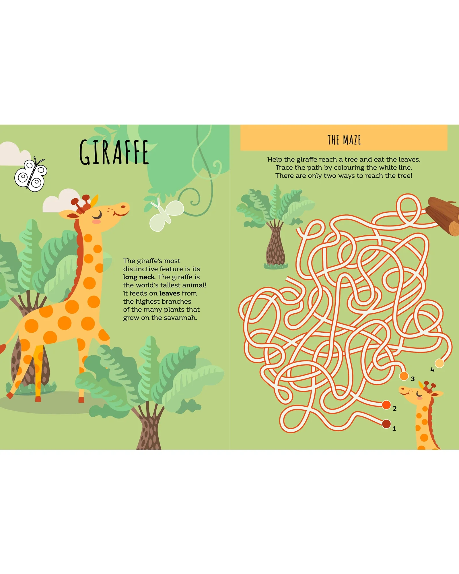 Sassi Sticker and Activity Book The Savannah - Image 4
