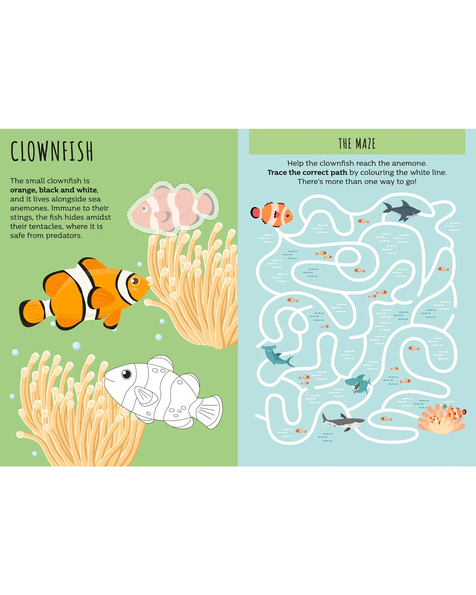 Sassi Sticker and Activity Book The Sea - Image 4