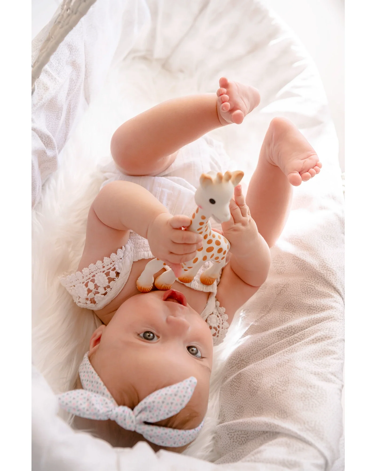 Sophie The Giraffe Teething Toy - Image 4