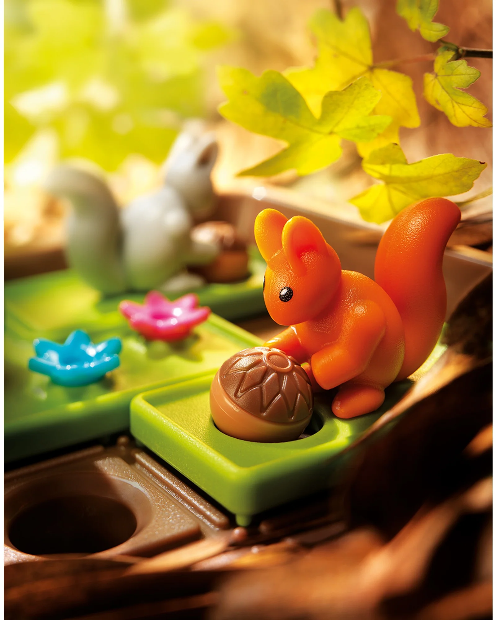 Squirrels Go Nuts - Image 5