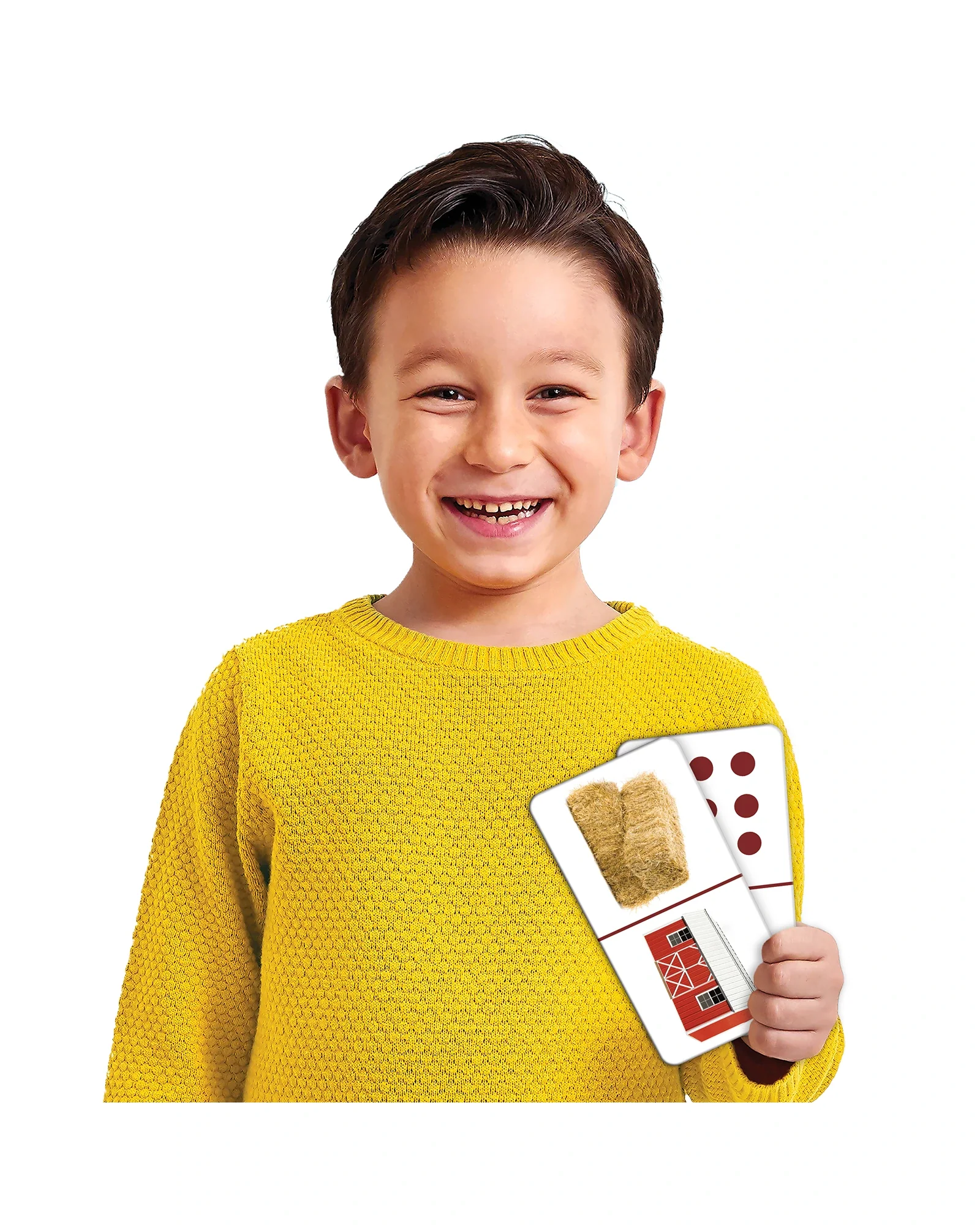 The Learning Journey Match It Dominoes Farminoes