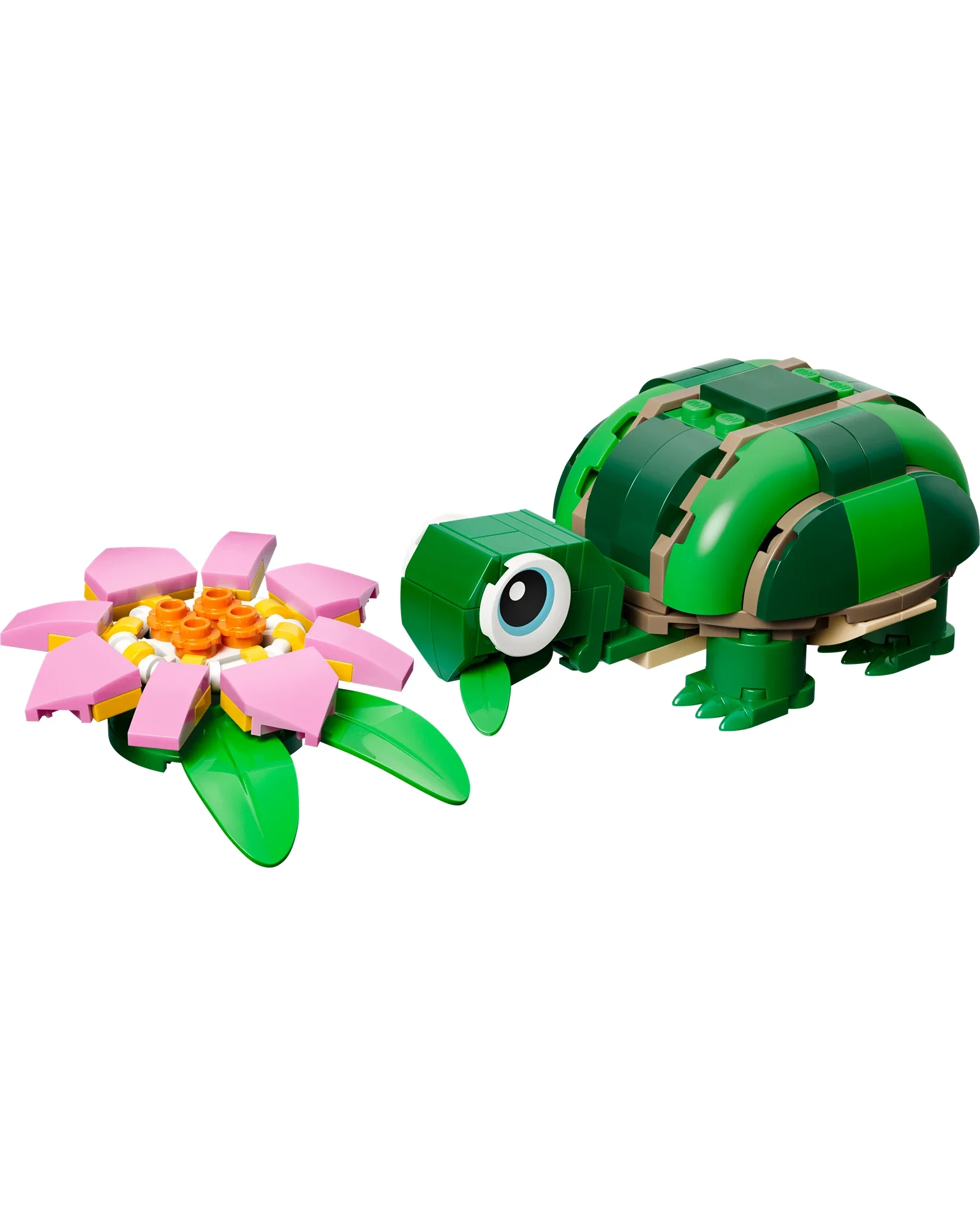 31377 Turtle with a Water Lily Flower - Image 5
