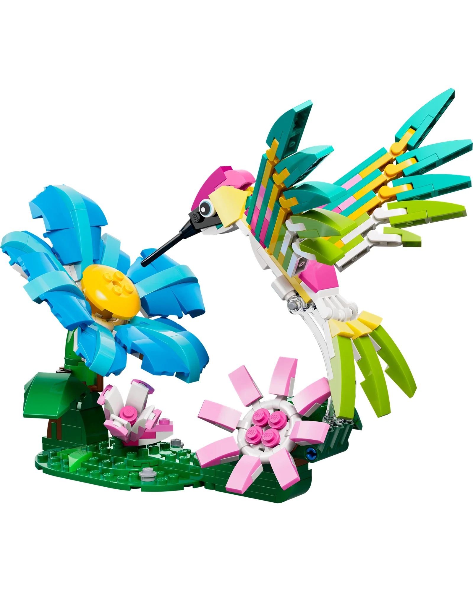 31384 Wild Animals: Colorful Hummingbird - Image 5