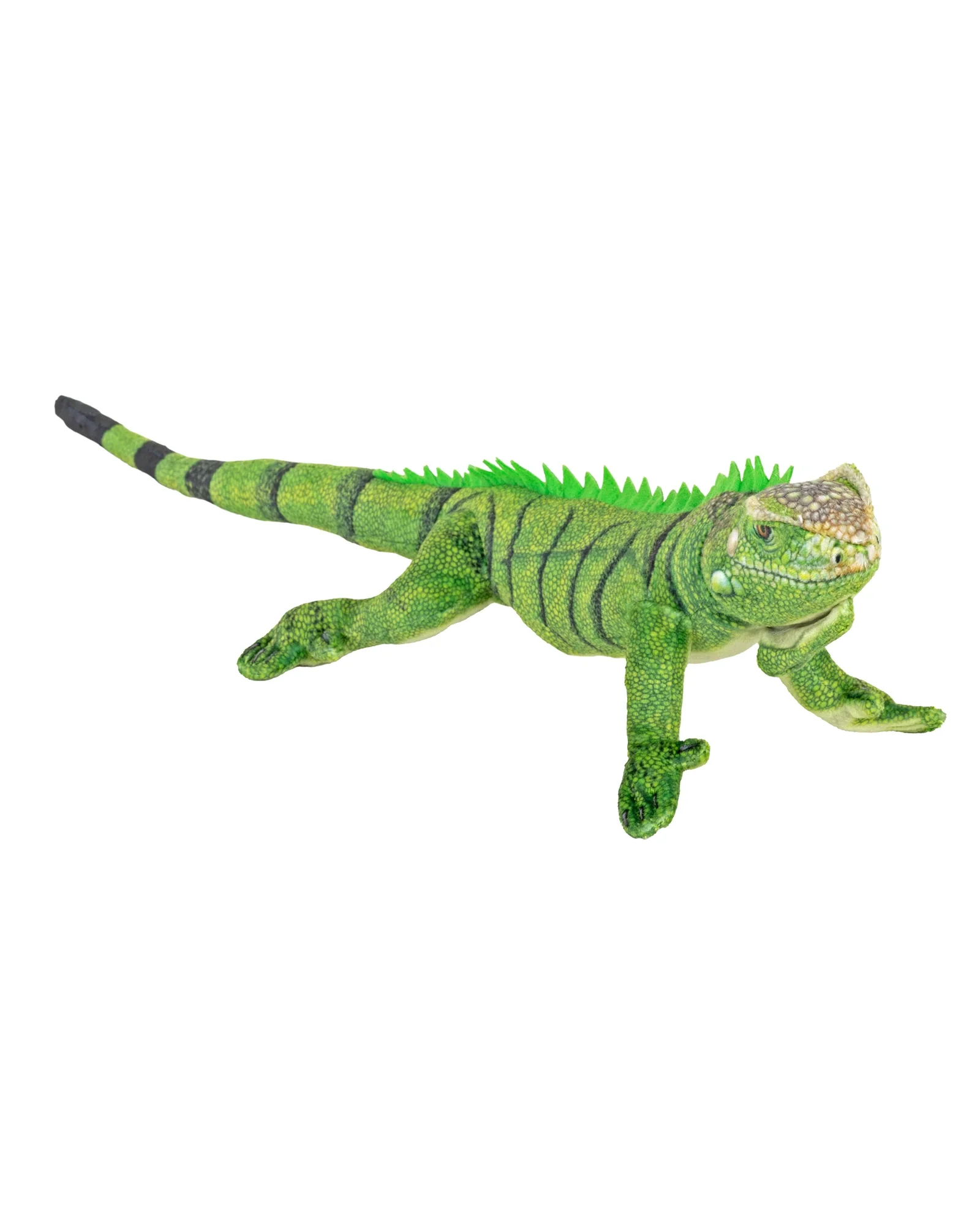 Wild Republic Coilkins Iguana Green 12" / 30cm