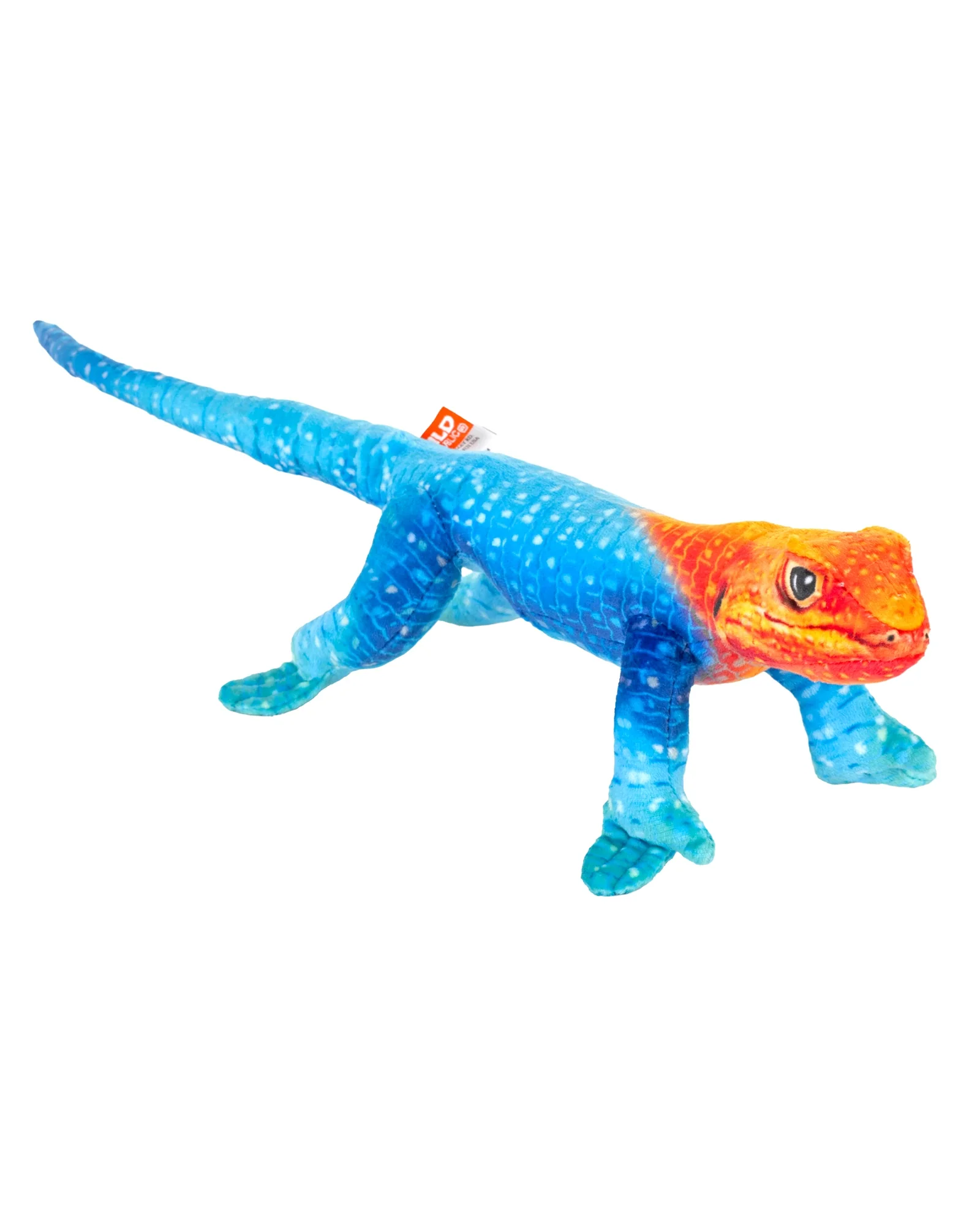 Wild Republic Coilkins Lizard Rainbow 12" / 30cm