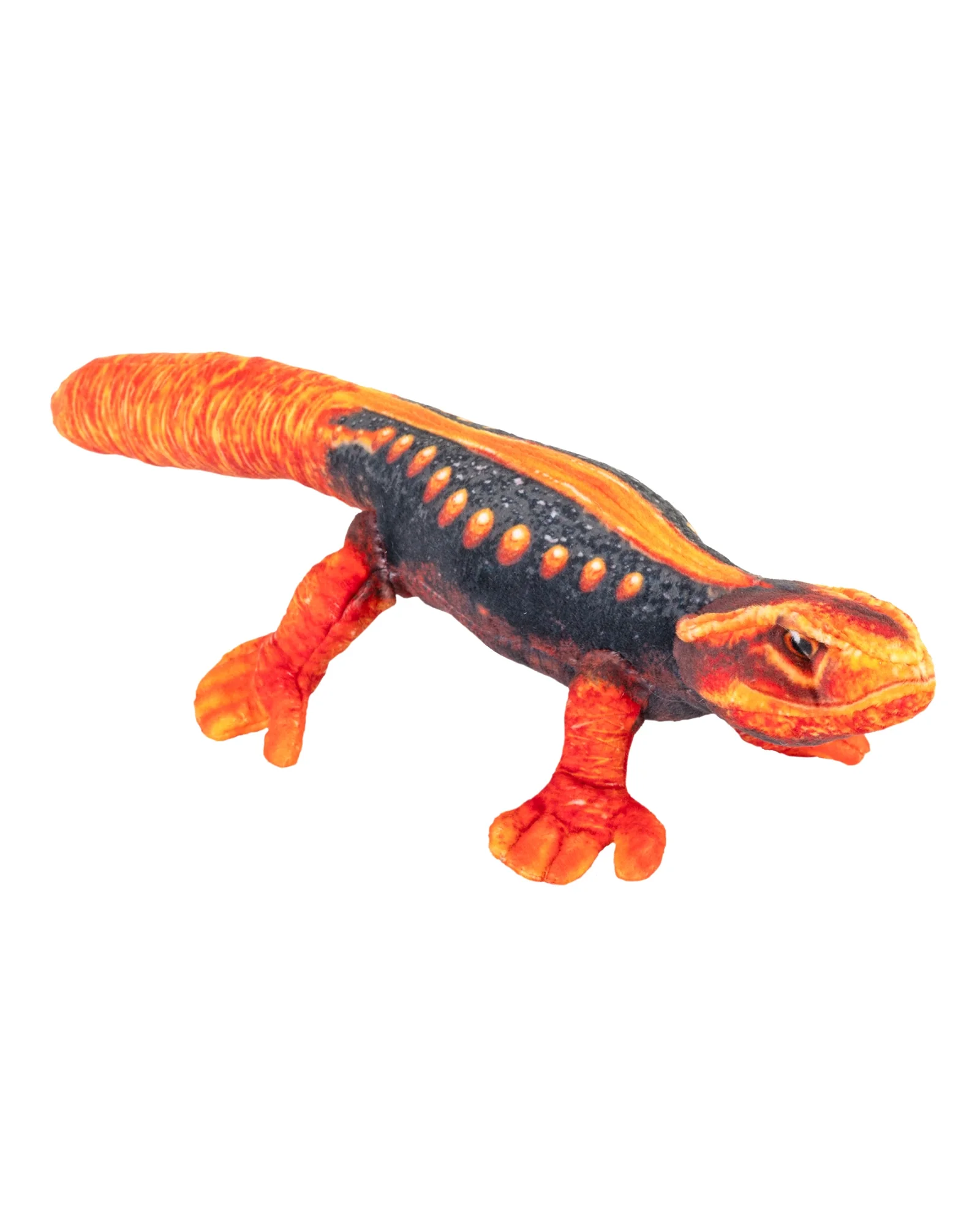 Wild Republic Coilkins Newt Himalayan 12" / 30cm