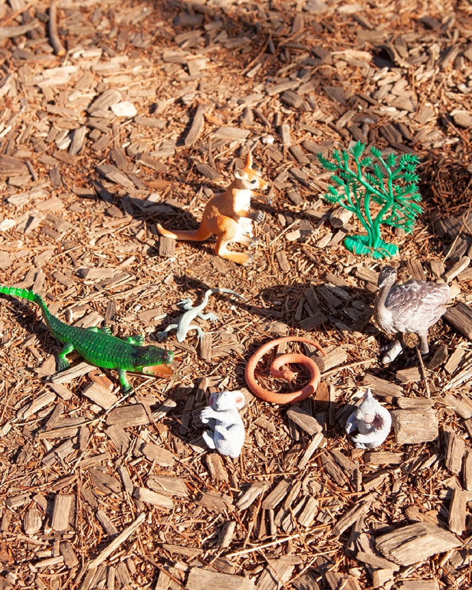 Australian Animals - Image 3